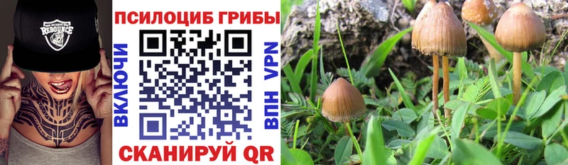 Галлюциногенные грибы GOLDEN TEACHER  Купить  Покачи 