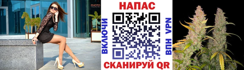 Бошки марихуана Amnesia  Купить закладки  Покачи 
